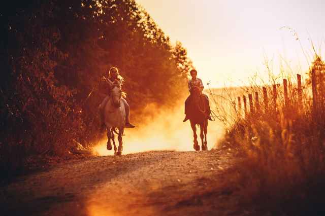 people riding horses during sunset